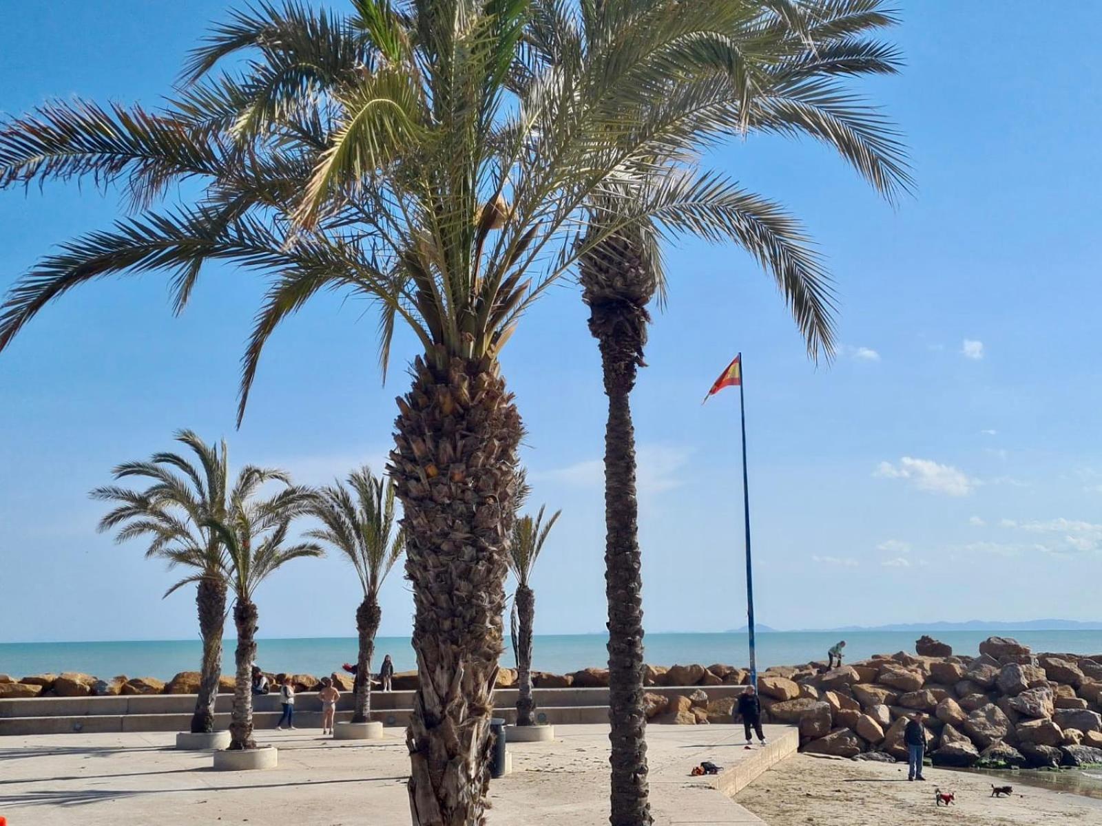 Appartement Casa Lagom With A Garage Torrevieja